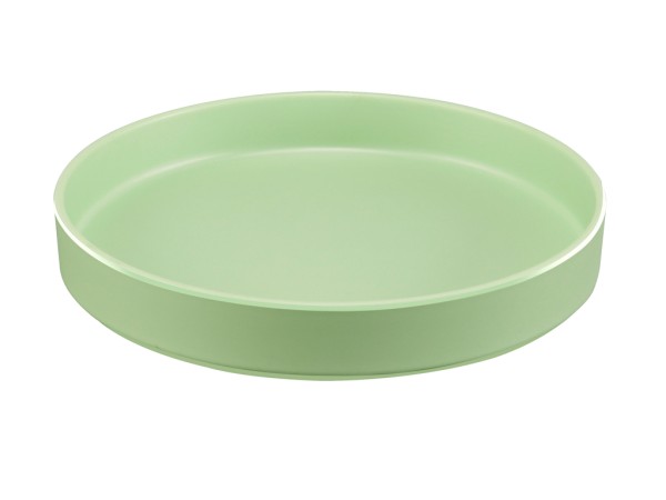 Hudson - Matcha 10" Raised Rim Melamine Plate