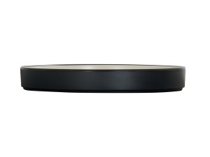 Hudson 10" Black and Ivory Plate