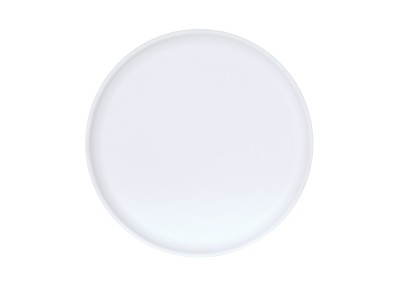 Sophie 10" White Plate