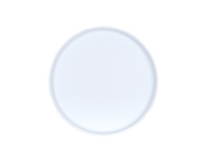 Arista 10" Raised Rim White Plate