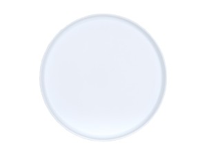 Arista 14" Raised Rim White Plate