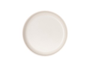 Isla 10" Ivory Speckle Plate