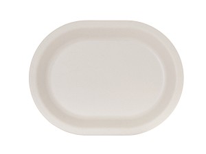 Isla 12x16 Ivory Speckle Plate